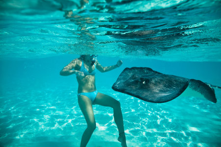 Woman Snorkeling With Stingray
