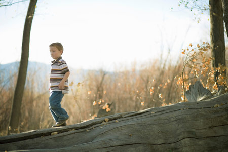 Young Boy Playing On Logの写真素材