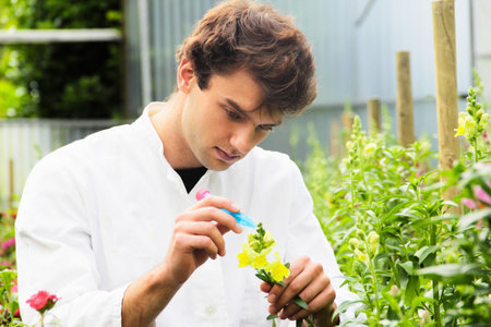 Scientist Examining Flower In Gardenの写真素材