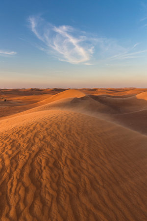 Sand Dunes In Desert, Dubai, United Arab Emiratesの写真素材