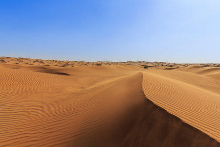 Sand Dunes In Desert, Dubai, United Arab Emiratesの写真素材