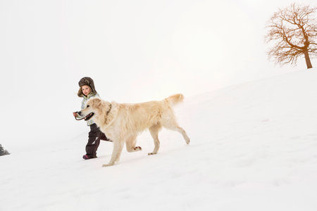 Girl Walking Dog In Snowの写真素材