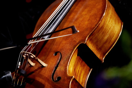 Close Up Of Violin And Bowの写真素材