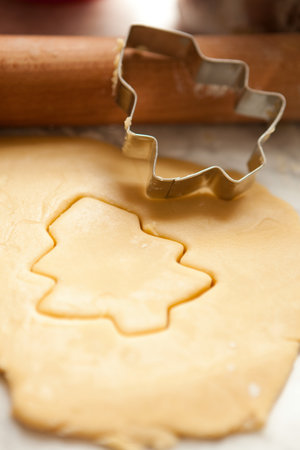 Christmas Tree Shaped Cookieの写真素材