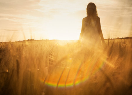 Young Woman In Barley Fieldの写真素材