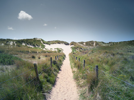 Path Through Dunes, Formby, Englandの写真素材