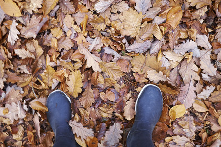 High Angle View Of Woman In Rubber Boots Stranding In Autumn Leavesの写真素材