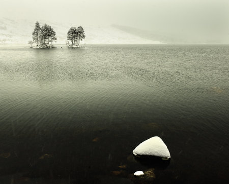 Sea View With Snow Covered Rock And Trees, Corrour, Highland, Scotland, Ukの写真素材