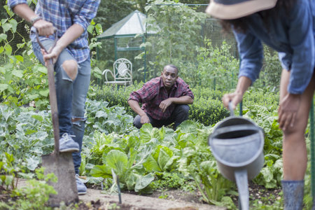 Friends Working On Allotmentの写真素材