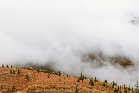 Canada, Yukon, Whitehorse, Clouds and fog above hillsの写真素材