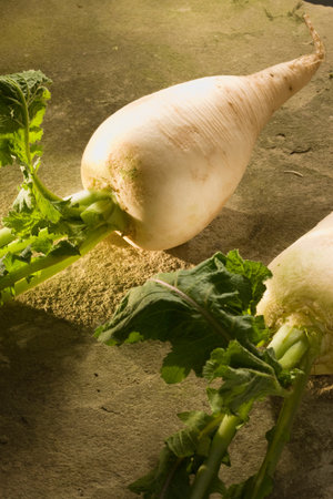 Radish