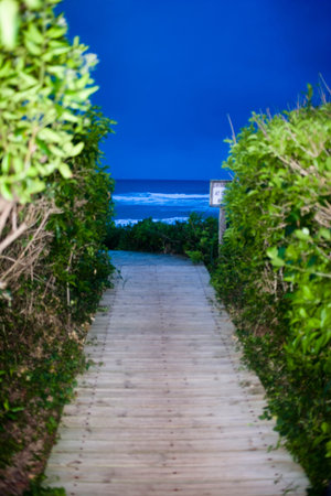 Wooden walkway leading to beachの写真素材