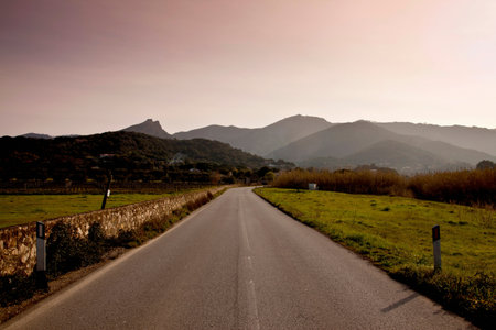 Road in hilly rural landscapeの写真素材