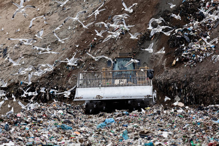 Birds circling garbage collection center