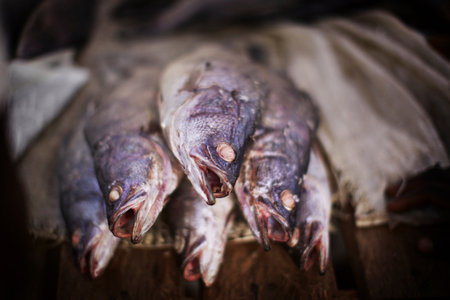 Close up of fish for saleの写真素材