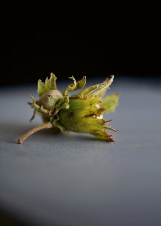 Close up of flower on counterの写真素材