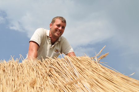 Man working on straw roofの写真素材