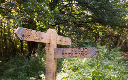Road signs on forest roadの写真素材