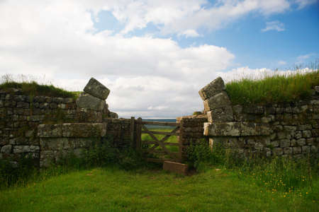 Grass growing on rural stone wall