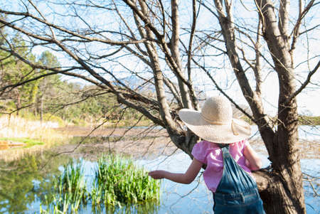 Girl playing on tree outdoorsの写真素材