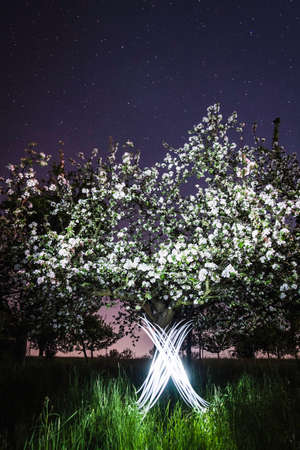 Time lapse view of x by treesの写真素材