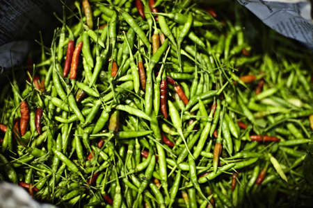 Pile of fresh chilis for sale in marketの写真素材