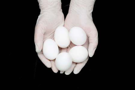 Gloved hands holding eggs