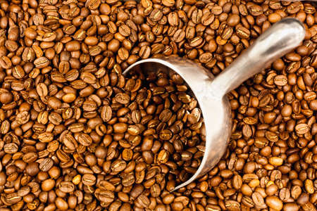 Metal scoop in pile of coffee beansの写真素材