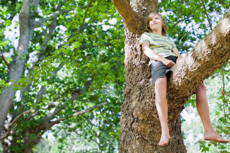 Smiling boy sitting in treeの写真素材