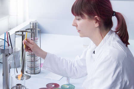 Scientist working in lab