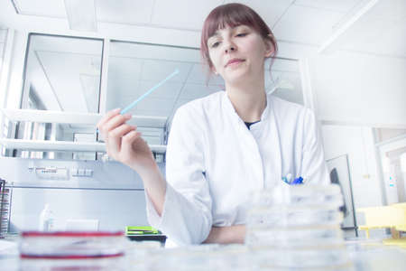Scientist testing strip in labの写真素材