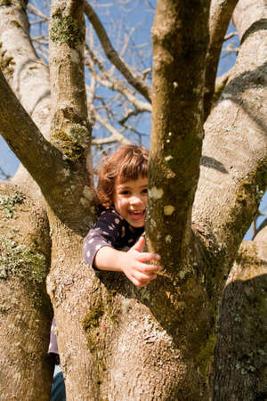 Young girl climbing treeの写真素材