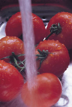 Tomatoesの写真素材