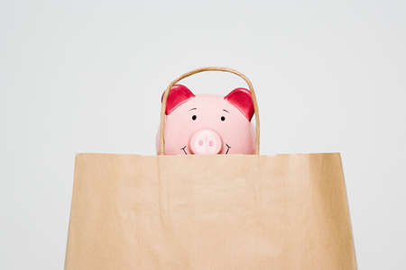 Piggy bank in a paper bagの写真素材