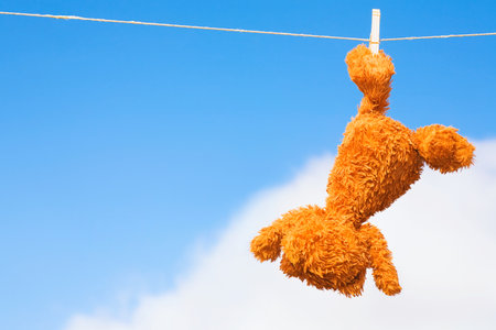 Teddy bear on a washing lineの写真素材