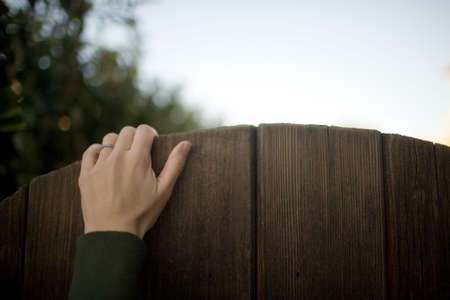 Woman's hand on gateの写真素材