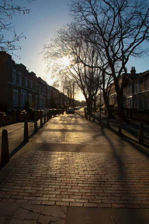 Street with houses
