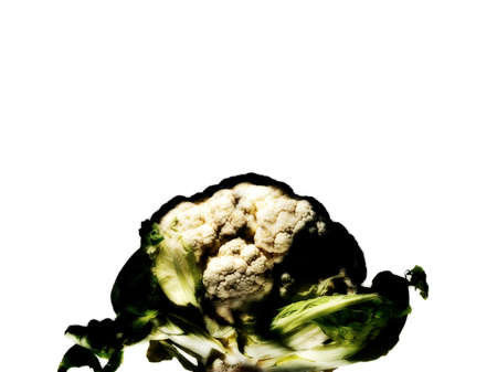 Cauliflowerの写真素材