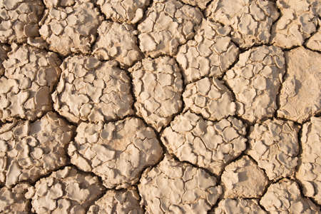 Cracked earth, Northern Cape, South Africa