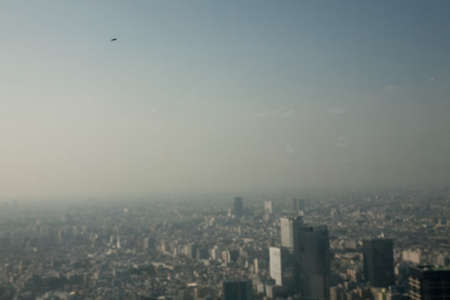 Insect on window, Tokyo skyline, Japan