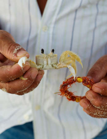 Man holding crabの写真素材