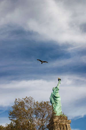 Bird flying over Statue of Liberty, New Yorkの写真素材