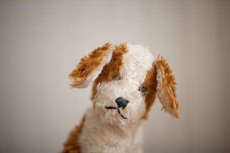 Soft toy dogの写真素材