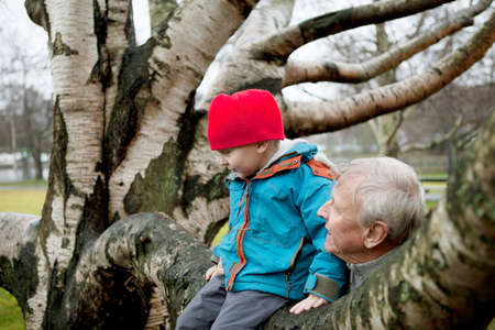 Granfather and boy sitting on tree branchの写真素材