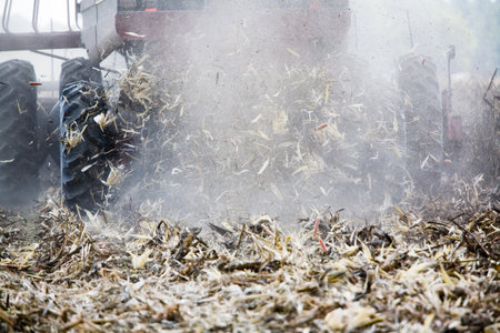 Combine harvester in a corn fieldの写真素材
