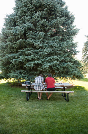 Teenage couple studying on picnic table in park, rear viewの写真素材