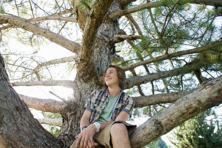 Teenage boy sitting in tree, portrait