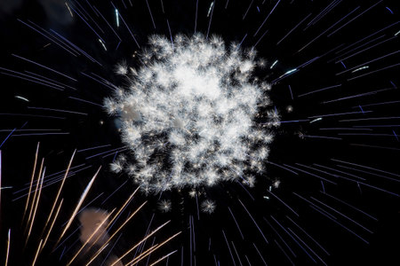 Fireworks exploding in night sky