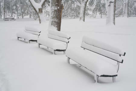 Snow covered benches in parkの写真素材