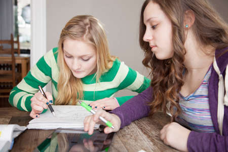 Girls sitting at table studyingの写真素材
